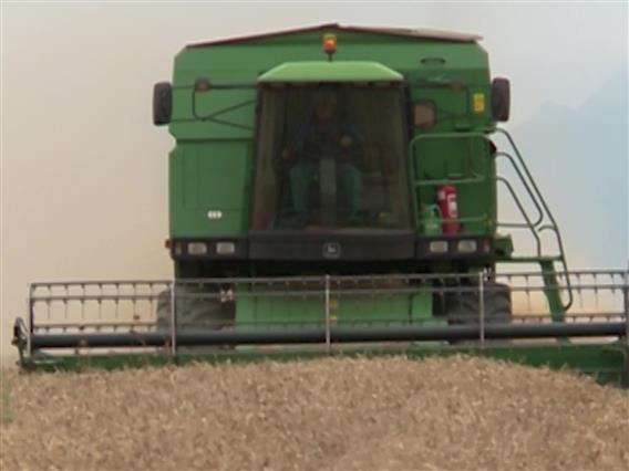 Акција на МВР: Петмина осомничени за злоупотреби со жито, меѓу нив и екс функционери