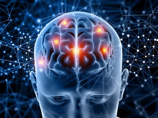 Научно истражување: Четири клучни возрасти за мозокот