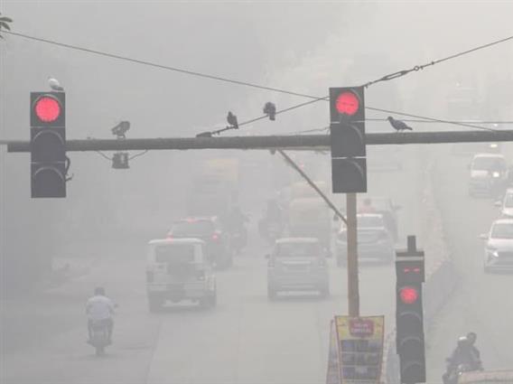 Над 200.000 со акутни респираторни заболувања поради енормно загадениот воздух во Њу Делхи