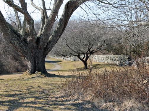 Идната недела сончево и тивко, со натпросечни температури