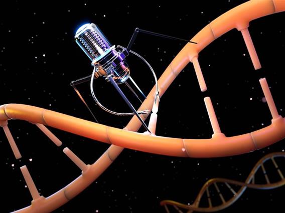Научниците направиле толку мал робот, што може да патува низ човечкото тело 