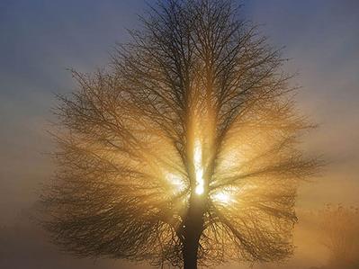 Најстудено во Берово -6 степени