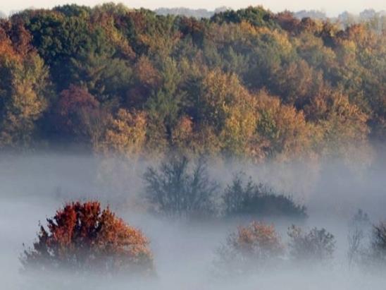 Сончево до крајот на седмицата, утринска магла по котлините