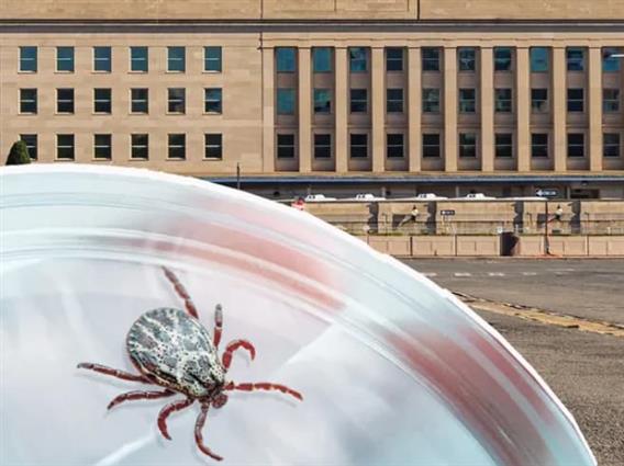 Почна истрагата против американската војска- дали Пентагон користел крлежи за да шири тешка болест?