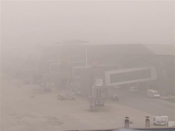 Сообраќајни несреќи и застој во авиосообраќајот поради густата магла