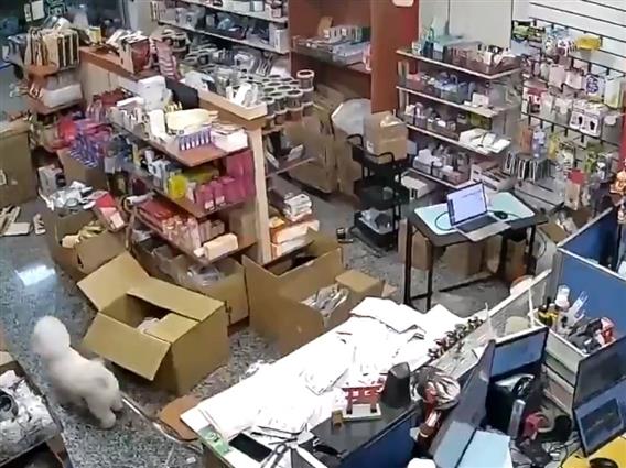 Видео: Земјотрес од 7 степени според Рихтер го погоди Тајван