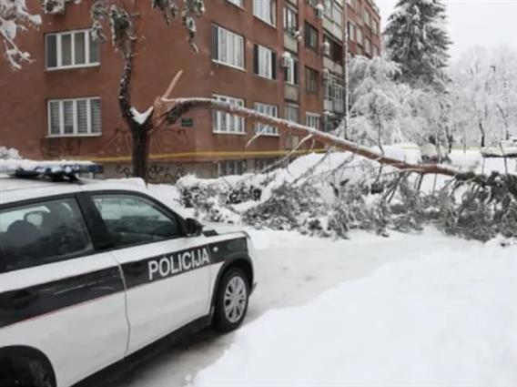 Дрво под тежина на снегот падна во Сараево и уби мајка на две деца