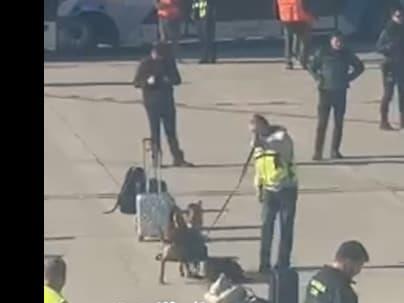 Драма на аеродромот во Барселона: Се претресува авион на „Туркиш Ерлајнс“ од Истанбул (ВИДЕО)