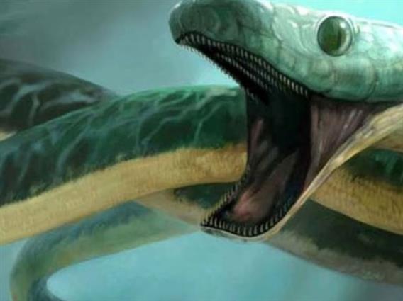 Научници откриле морска змија долга повеќе од 12 метри