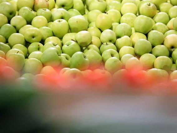 Јаболките во Европа се преполни со пестициди: Треба да се лупат или да се купуваат еколошки произведени 