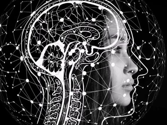 Проектот „Извоз на мозоци во САД“ под лупа на здравство – ќе се „чешла“ документацијата на соработката