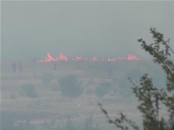 Климатските промени причина за пожарите, регионот еден од најкритичните во Европа