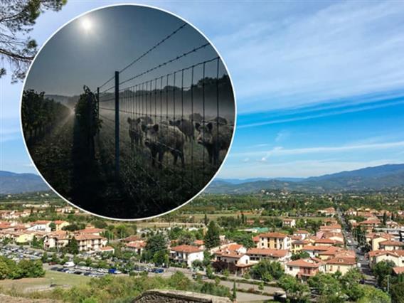 Албанец загинал додека ограбувал викендичка во Италија- се фатил во стапица за диви свињи 