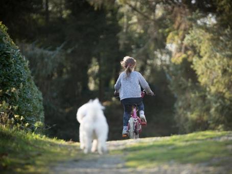 Имате само едно дете? Еве што ви порачува