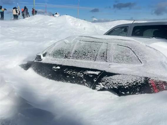 Вонредна состојба во Словенија поради снег- илјадници домаќинства се без струја (ВИДЕО)