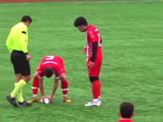 Видео - Неверојатна сцена: Фудбалер оживеа галеб кој беше погоден со топка