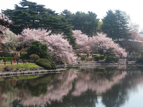 Сончево и топло време со температури до 18 степени