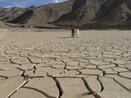 Научници: Топлинските бранови предизвикуваат опасни „ненадејни суши“