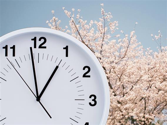Утре започнува пролетта: Ноќите стануваат пократки, деновите подолги, а еве кога се поместуваат стрелките на часовникот