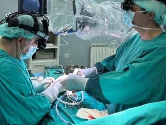 Ватикан не забранува на католиците да им се трансплантираат животински органи