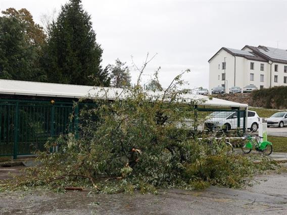 Силно невреме ја погоди и Словенија, илјадници домаќинства останаа без струја 