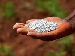 Војната во Иран го поскапе вештачкото ѓубриво, расте стравот од зголемување на цените на храната