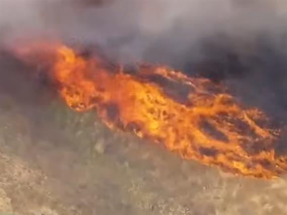 Видео: Евакуации во јужна Калифорнија поради брзорастечки шумски пожар