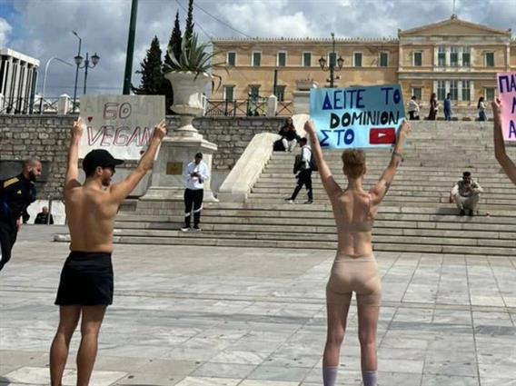 Протест на вегани среде Атина поради колење јагниња пред Велигден: Тоа не е љубов 