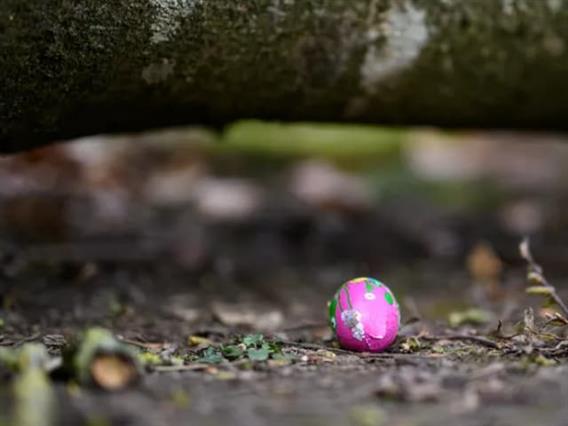 Трагедија во Германија: Тројца загинати, меѓу кои и бебе, при пад на дрво- мајката барала велигденски јајца во шума