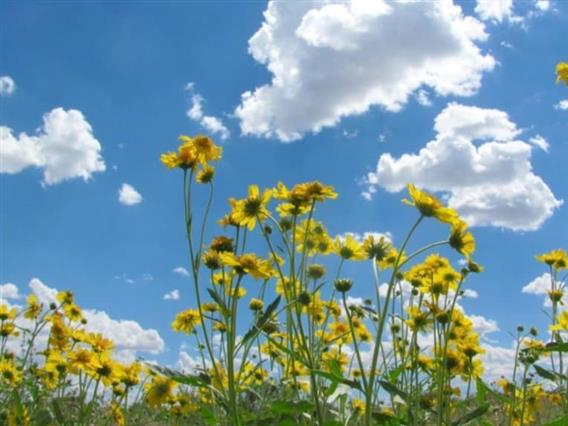 Најстудено изутринава во Берово минус еден степен, највисока температура во Скопје и Велес - осум степени