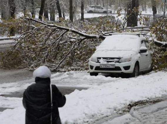 Пролетно снежно невреме ја парализира Москва- соборени се над 200 дрвја, одложени летови (ВИДЕО)
