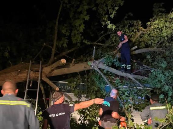 Фото: Синоќа невреме го погоди Стар Дојран, паднати дрвја, оштетени игралиша... 