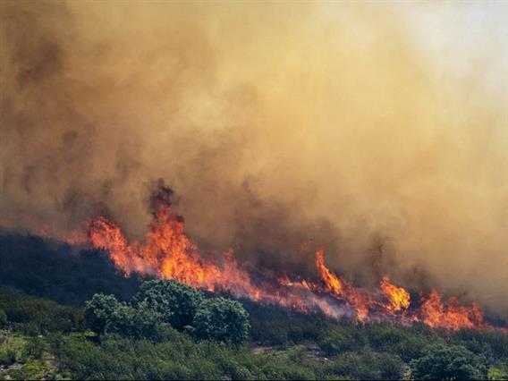 Пожари беснеат низ Европа- најкритично е во Шпанија и Франција, каде загинаа двајца пожарникари (ВИДЕО)