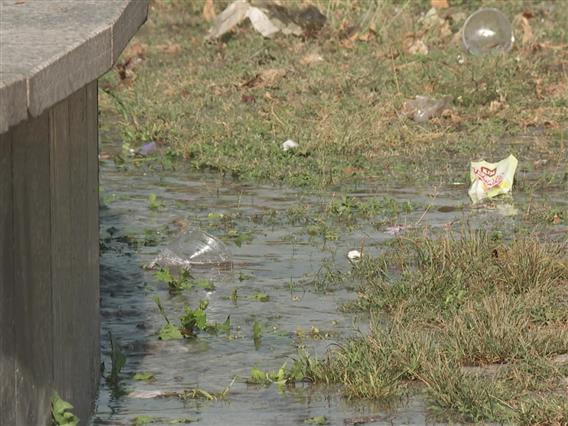 Во скопските општини и натаму се наоѓа застоена вода, која е „рај“ за комарците
