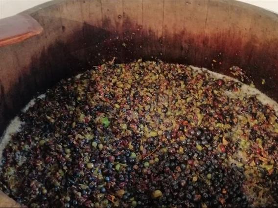 Македонец загина за време на гроздобер во Италија, пропаднал во буре за мелење
