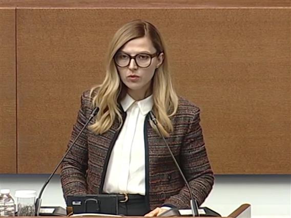 Софија и официјално е против укинувањето на ветото во текот на преговорите