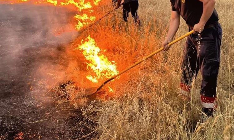 Шест активни пожари – најкритично кај Македонски Брод, во Зелениково синоќа огнот стигнал до куќите