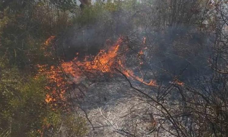 Активни се пожарите во Маврово и ростуше и гори депонијата кај Шуто Оризари