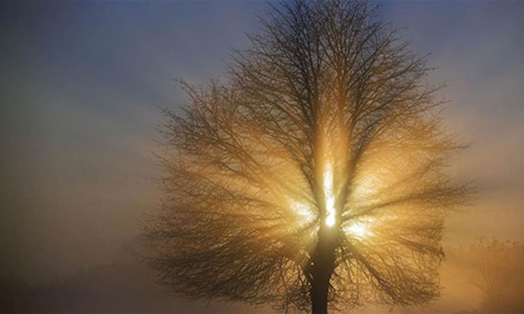 Променливо облачно со сончеви периоди