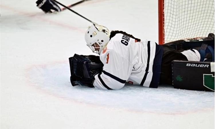 ЗОИ: Натпреварот Финска – Канада одложен поради случаи на норовирус кај финските хокеарки