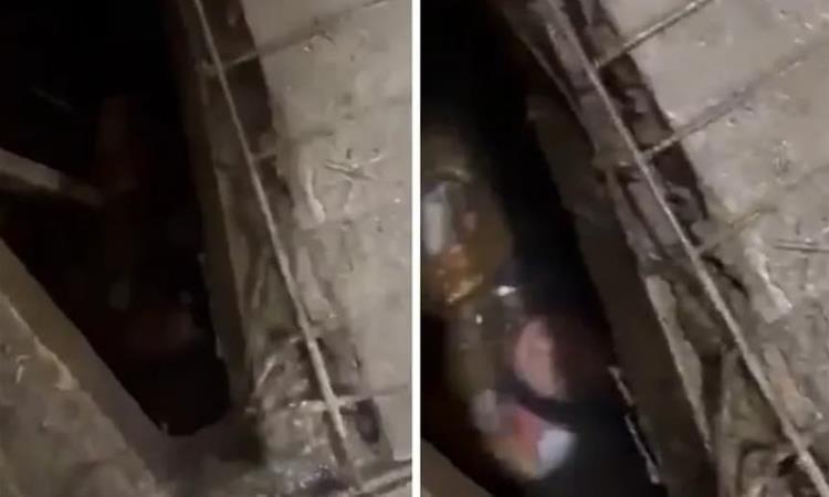 Девојка преживеала хорор- 48 часа била заробена во септичка јама на јавен тоалет (ВИДЕО)