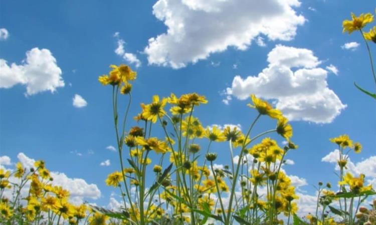 До крајот на денот сончево време со мала до умерена облачност