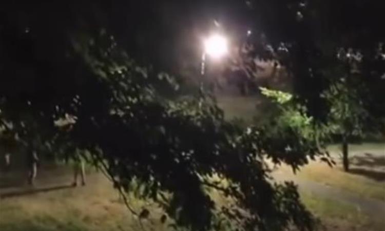 Расчистен случајот со оштетување канделабра во парк на подрачје на општина Карпош