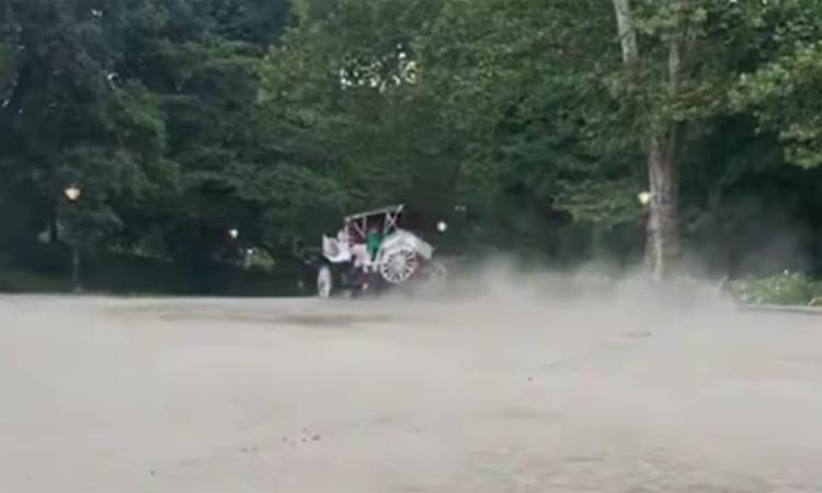 Млад турист загина откако коњ збесна во Централ Парк во Њујорк (ВИДЕО)