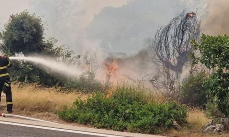 ЦУК: Активни три пожари низ Македонија, во Куманово и Илинден- горат бандери, дрвја и отпад