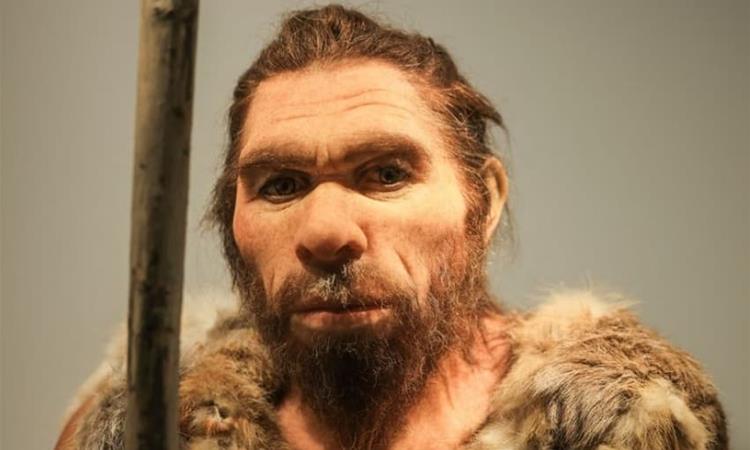 Анализата на ДНК на последните неандерталци ги изненади научниците 