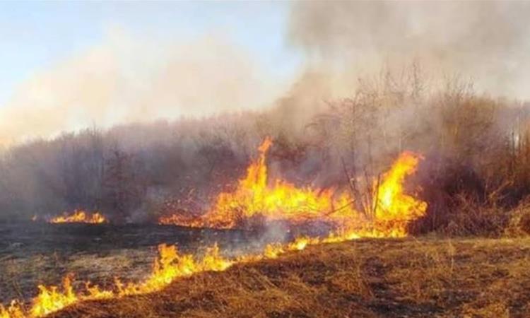 Лишен од слобода велешанец поради предизвикување пожар во Долно Оризари