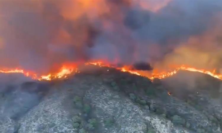 Најмалку 11 лица загинаа, а 6 се повредени во голем шумски пожар во Шпанија