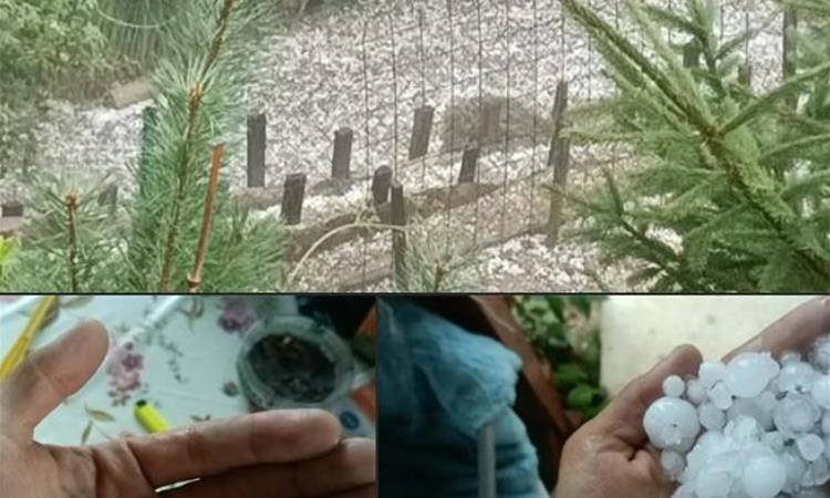 Бура ја парализира Словенија: Бегале од град и предизвикале хаос (ВИДЕО)
