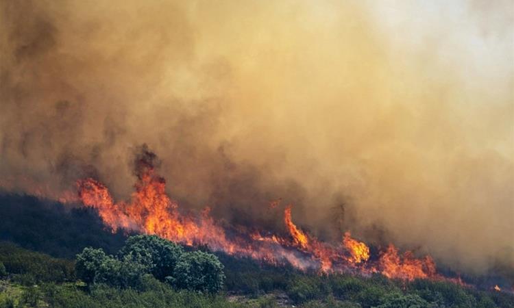 Пожари беснеат низ Европа- најкритично е во Шпанија и Франција, каде загинаа двајца пожарникари (ВИДЕО)